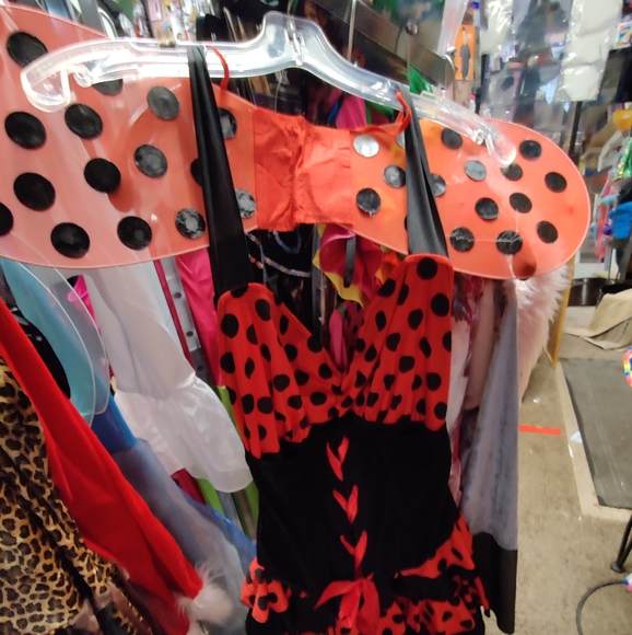 A ladybug Ladies costume - Picture 9 of 12